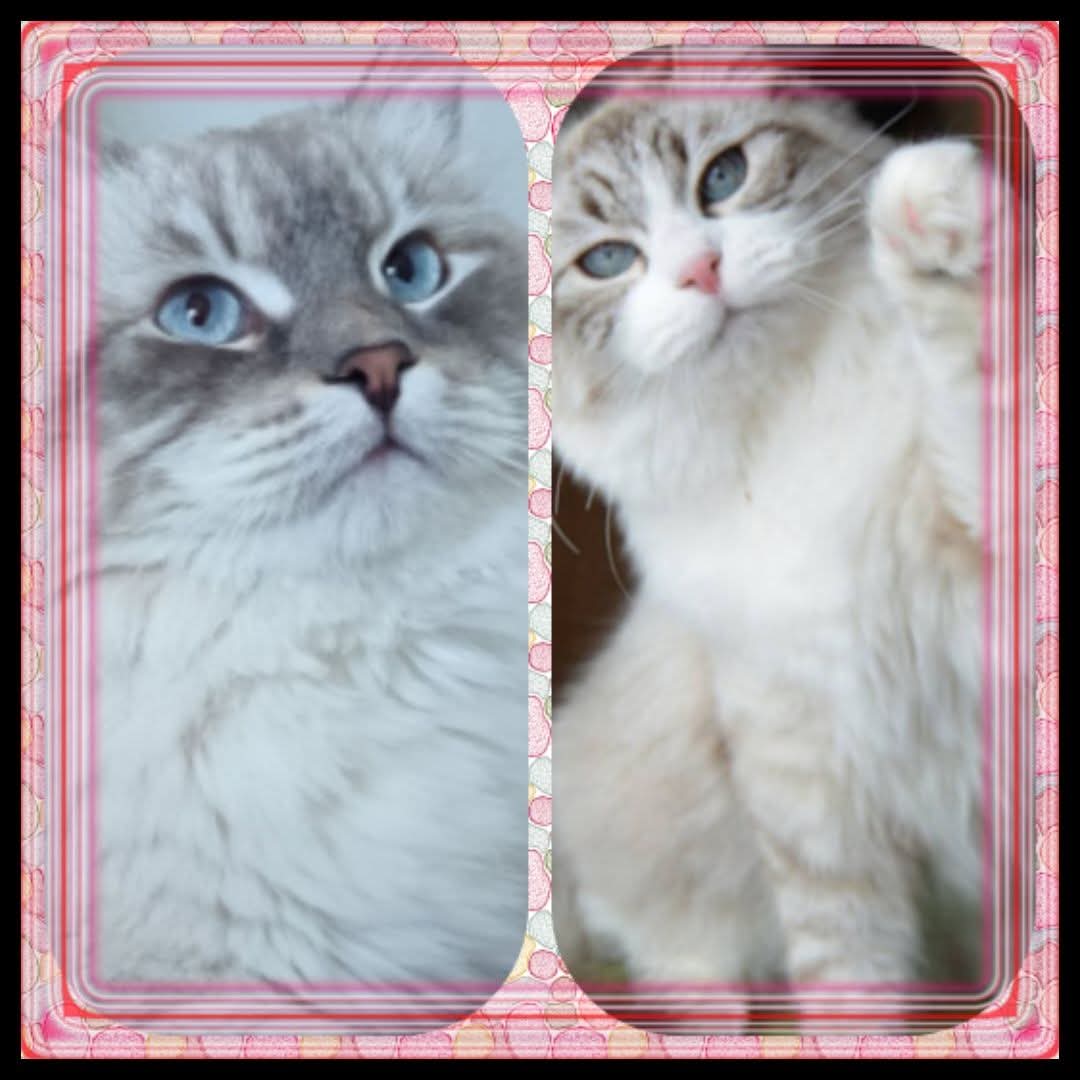 10.1..2026 pentujen vanhemmat. 